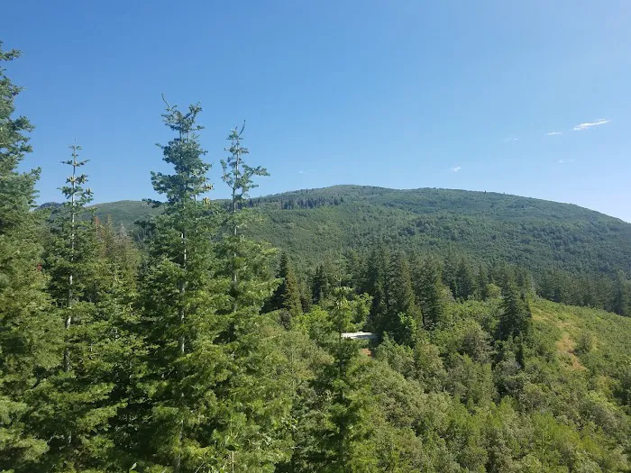 Theater-in-the-Pines Group Campground Picture 5