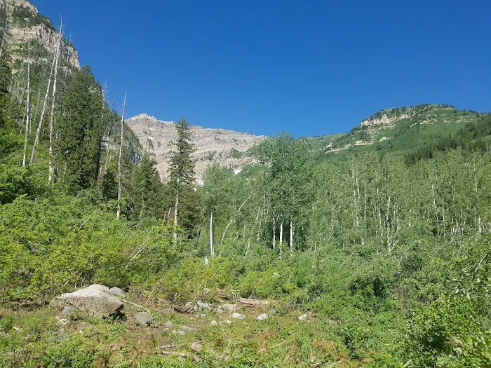 Theater-in-the-Pines Group Campground Picture 9