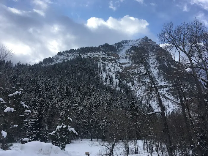 Theater-in-the-Pines Group Campground Picture 2