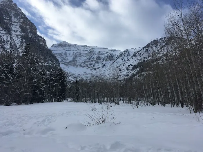 Theater-in-the-Pines Group Campground Picture 1