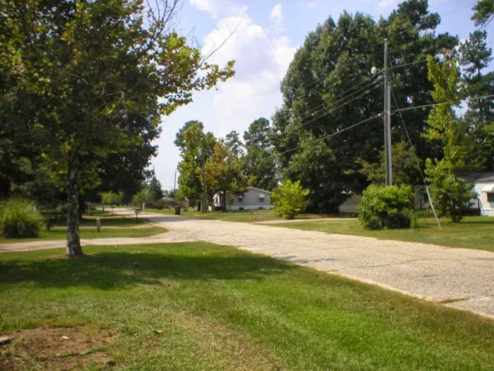 Palmetto Woods Picture 7