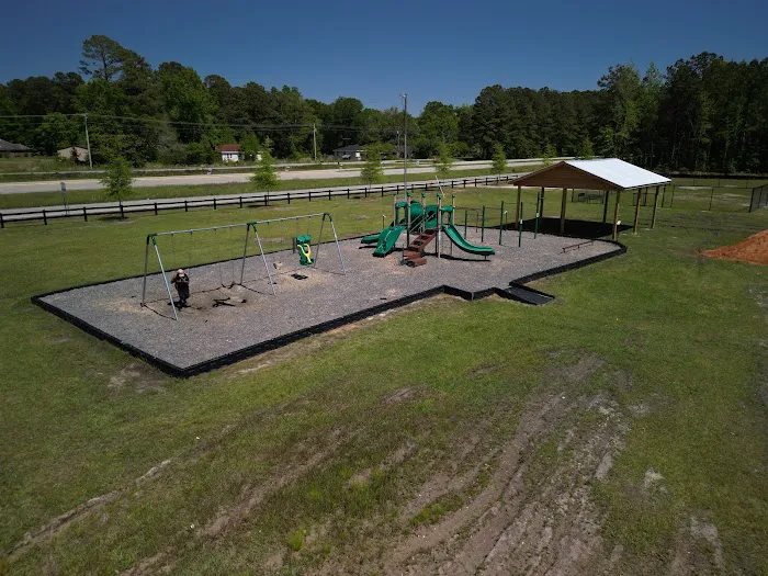 Great Horned Owl Campground Picture 7