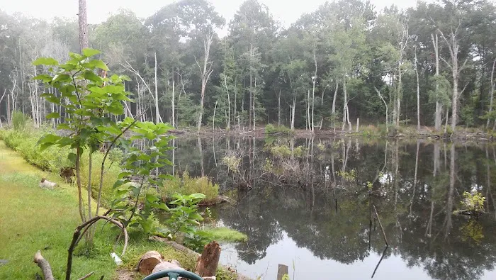 Bear Branch RV Park & Wildlife Picture 5