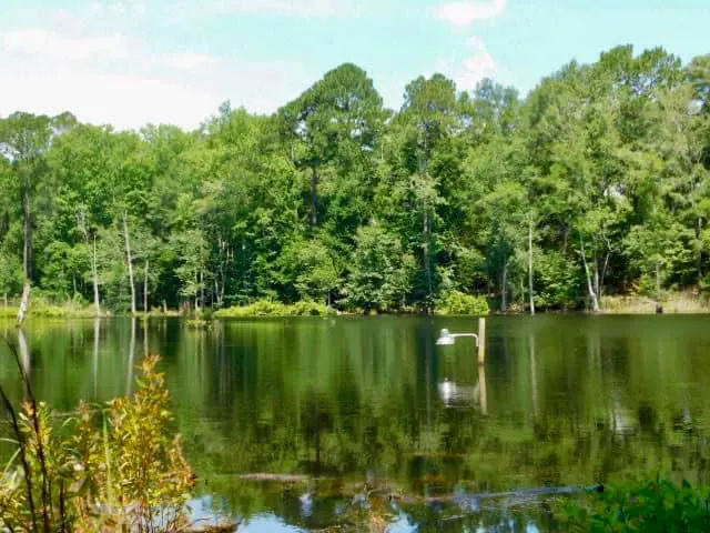 Bear Branch RV Park & Wildlife Picture 1