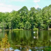 Bear Branch RV Park & Wildlife ico