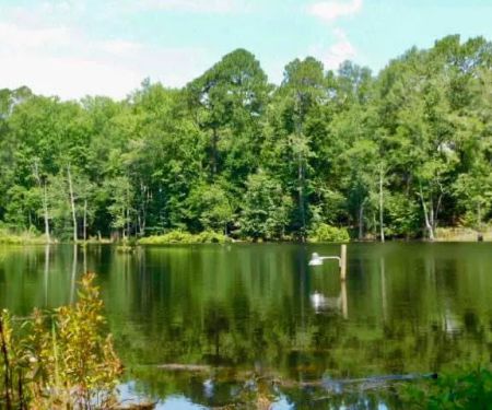 Bear Branch RV Park & Wildlife