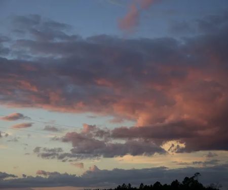 The View at Vergie’s