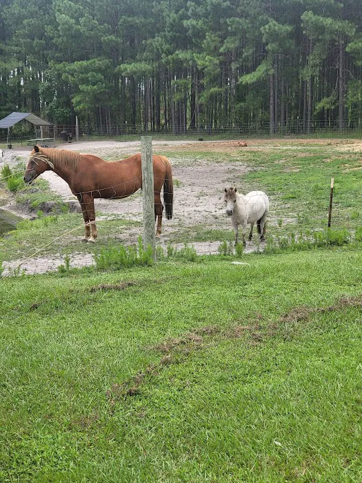 Camp South RV Park Picture 6