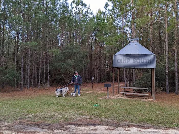 Camp South RV Park Picture 5