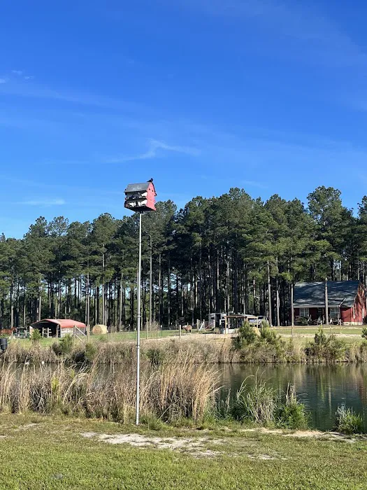 Camp South RV Park Picture 10