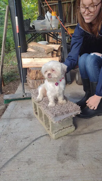 Big Pond RV Park Picture 6