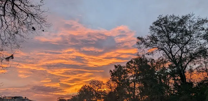 Big Pond RV Park Picture 7