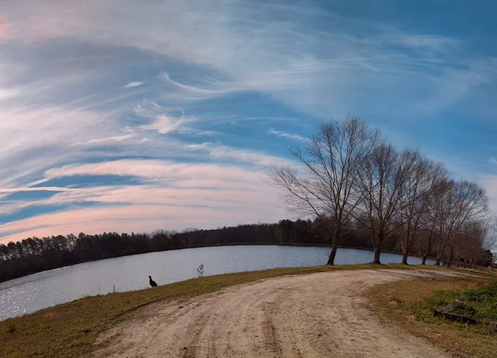 Big Pond RV Park Picture 4