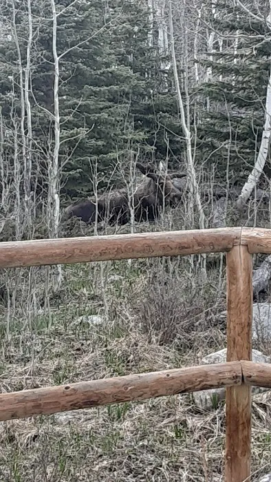 Hunter Campground Picture 9