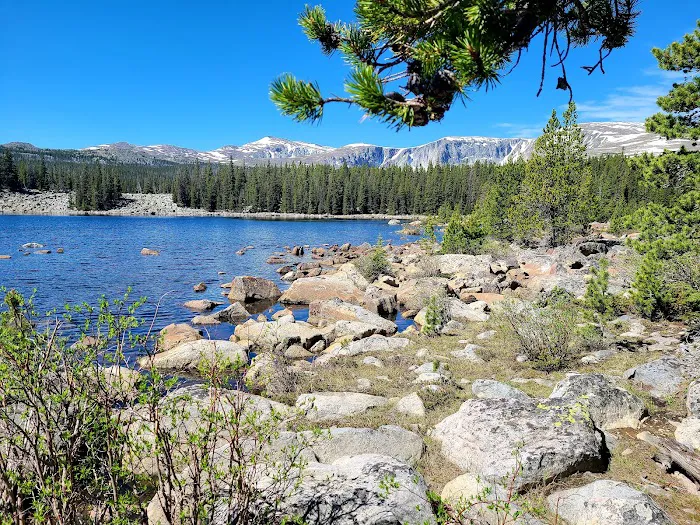 Hunter Campground Picture 5