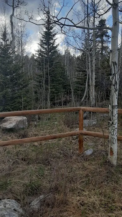 Hunter Campground Picture 2