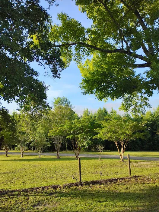 Coleman Estates Picture 2