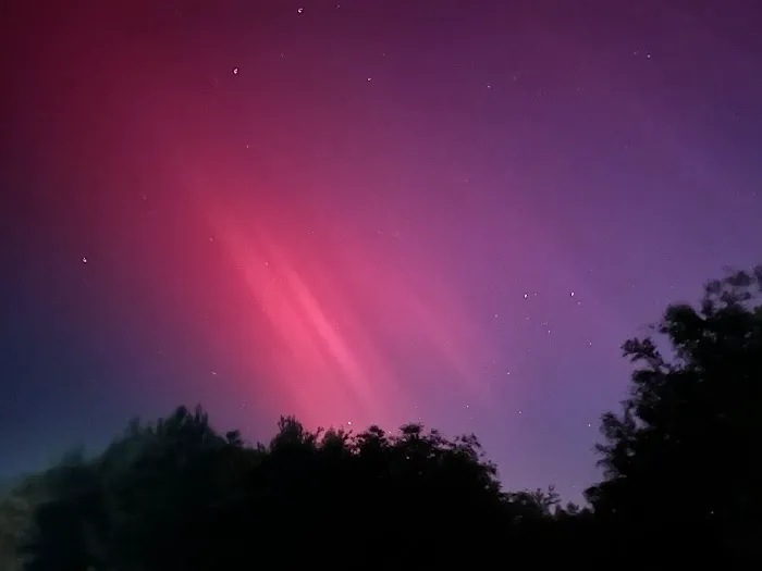 Ponderosa RV Park Inc. Picture 3