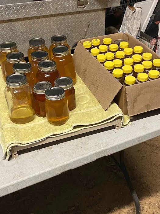 Ponderosa RV Park Inc. Picture 7