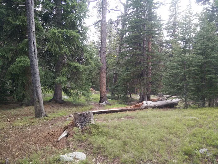 West Tensleep Lake Campground Picture 1