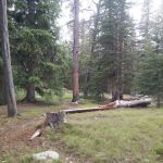 West Tensleep Lake Campground