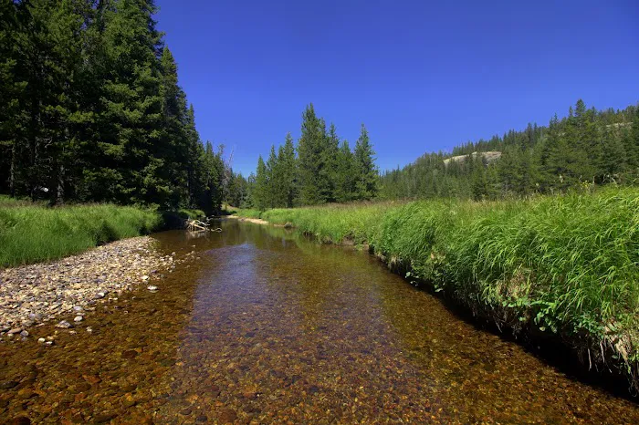 West Tensleep Lake Campground Picture 7