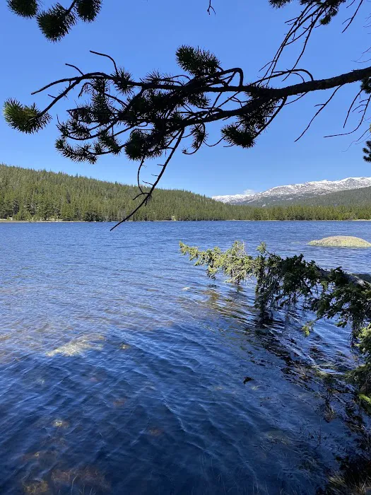 West Tensleep Lake Campground Picture 4