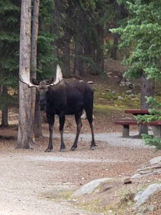 West Tensleep Lake Campground Picture 5