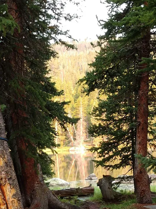 West Tensleep Lake Campground Picture 10