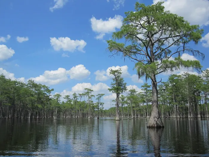 Camp Sylvania Picture 7