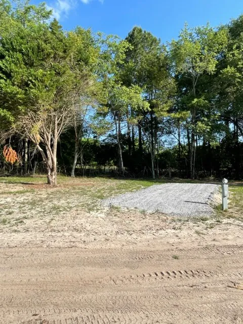 Camp Sylvania Picture 5