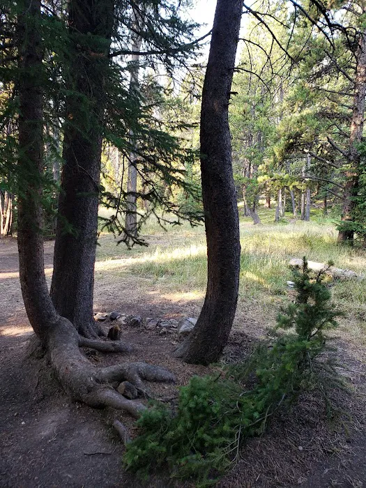 Deer Park Campground Picture 6