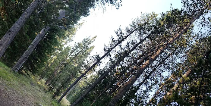 Deer Park Campground Picture 1