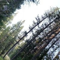 Deer Park Campground ico