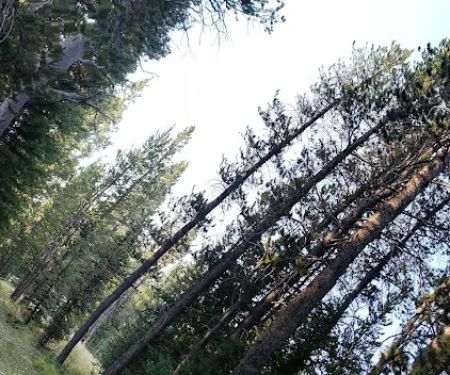 Deer Park Campground