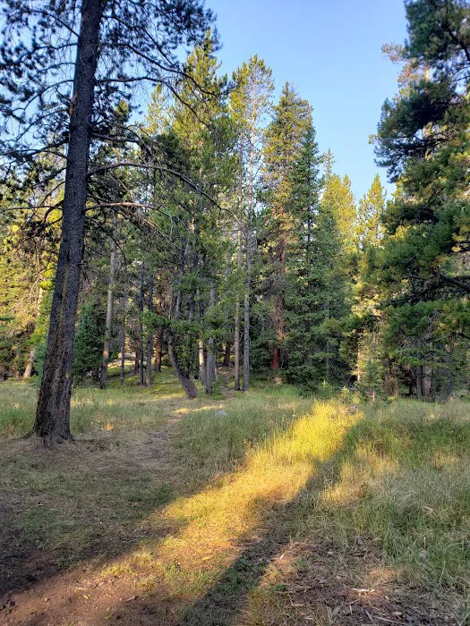 Deer Park Campground Picture 9