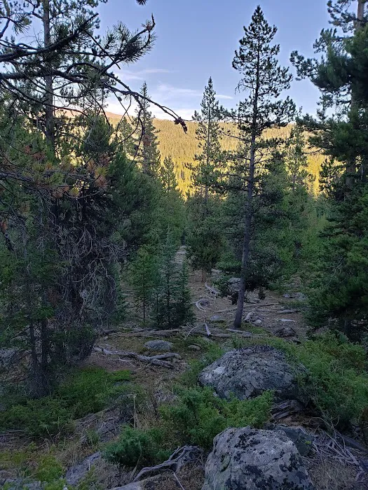 Deer Park Campground Picture 10