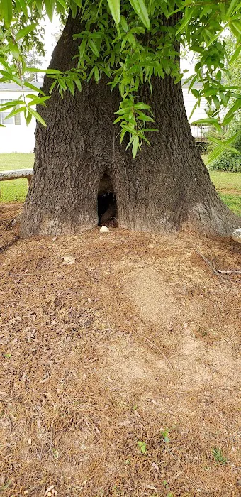 Leisure Time RV Park Picture 8