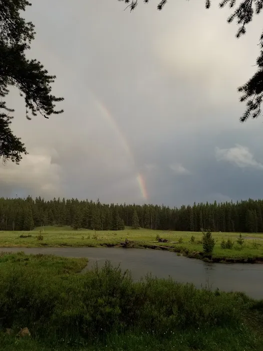 Island Park Campground Picture 1