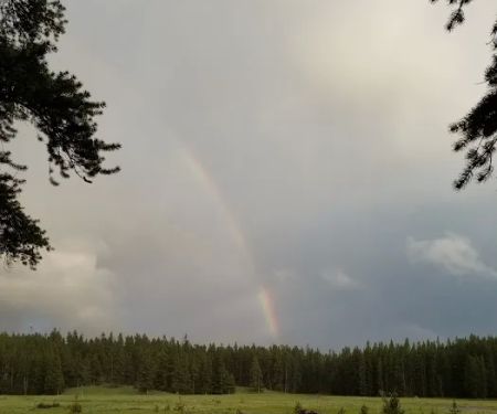 Island Park Campground