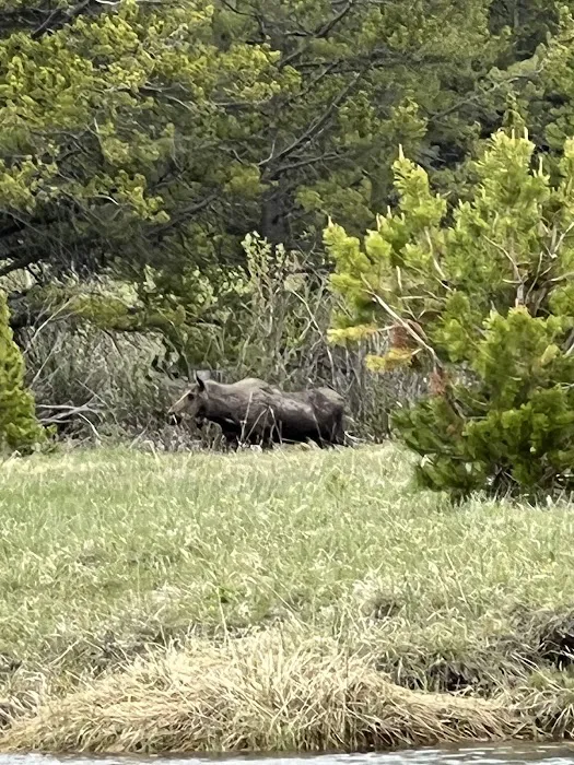 Island Park Campground Picture 2