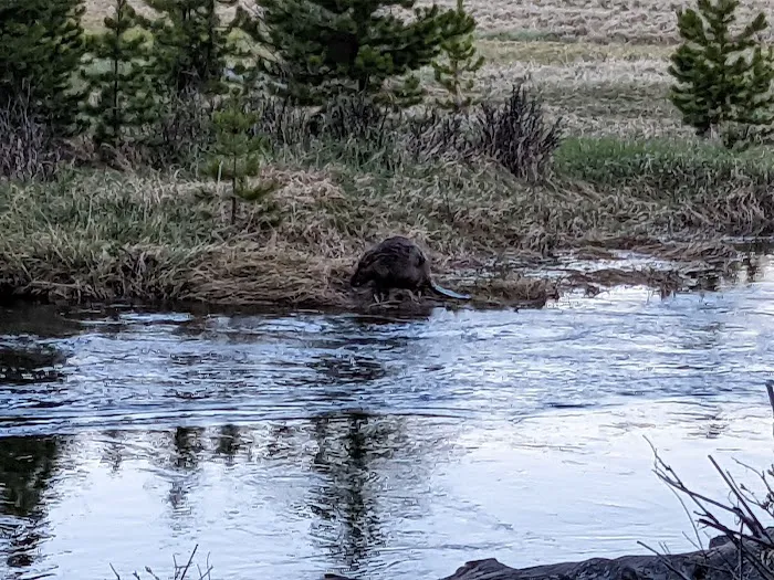 Island Park Campground Picture 10