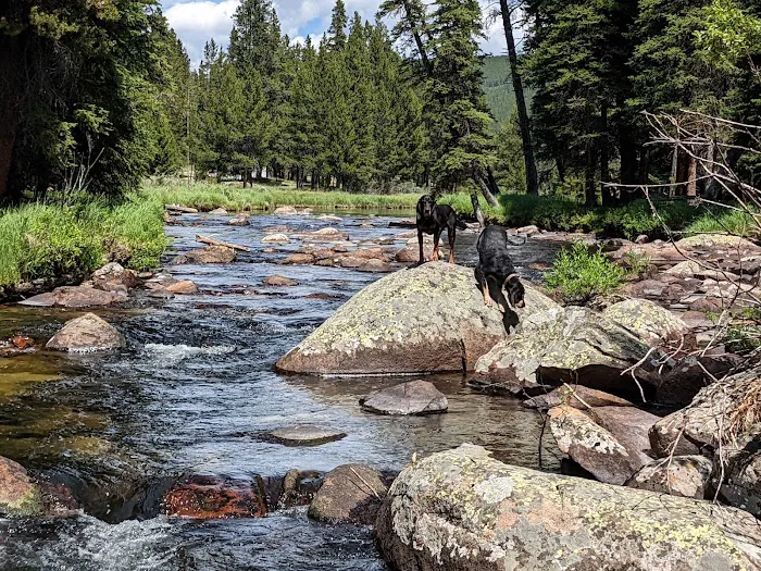 Island Park Campground Picture 9