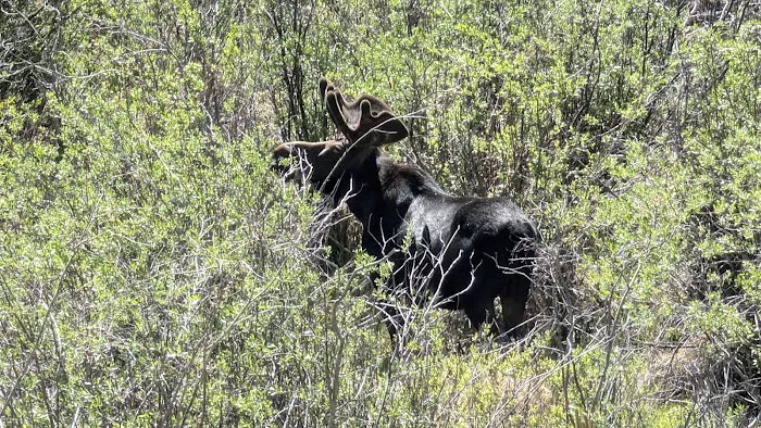 Sitting Bull Campsite Picture 8
