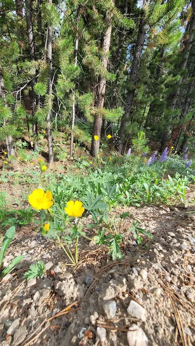 Sitting Bull Campsite Picture 3