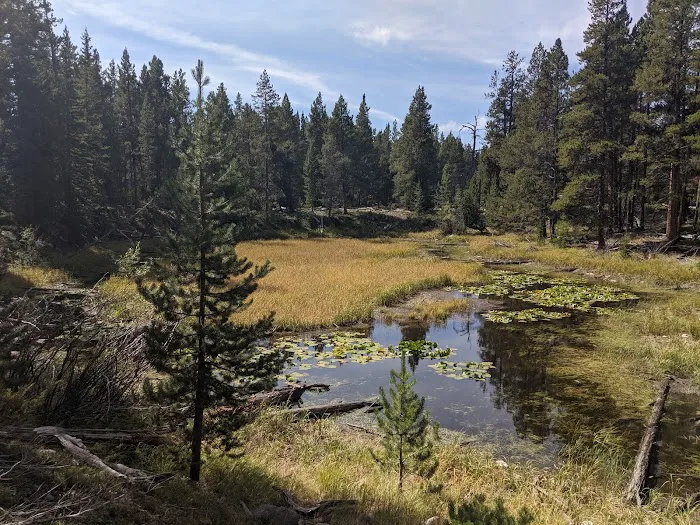 Sitting Bull Campsite Picture 5