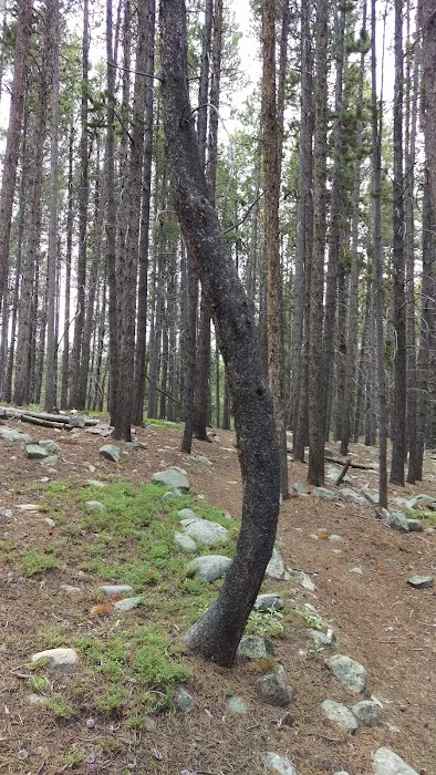 Sitting Bull Campsite Picture 9