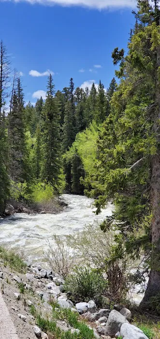 Willow Park Group Campground Picture 1