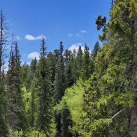 Willow Park Group Campground ico