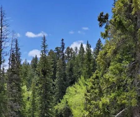 Willow Park Group Campground